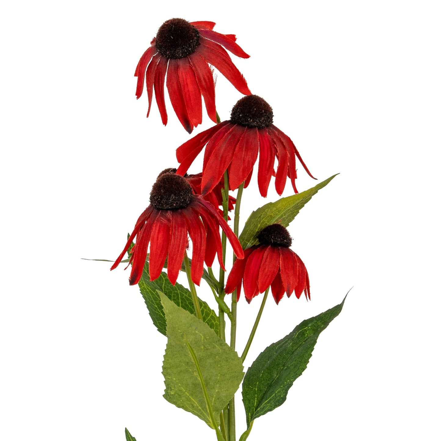 Red Echinacea Spray - Single Stem Flowers from the Quanta Home collection.