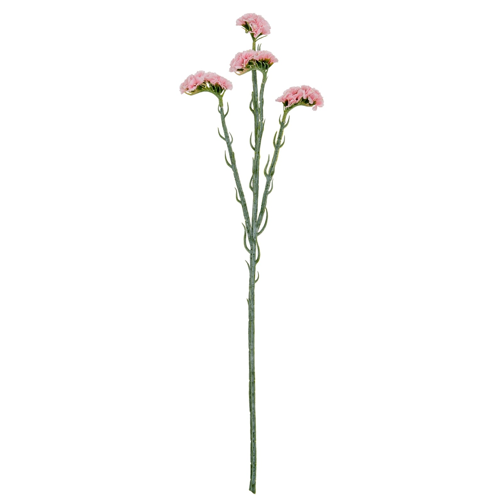 Pink Statis Spray - Single Stem Flowers from the Quanta Home collection.