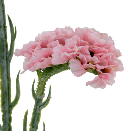 Pink Statis Spray - Single Stem Flowers from the Quanta Home collection.