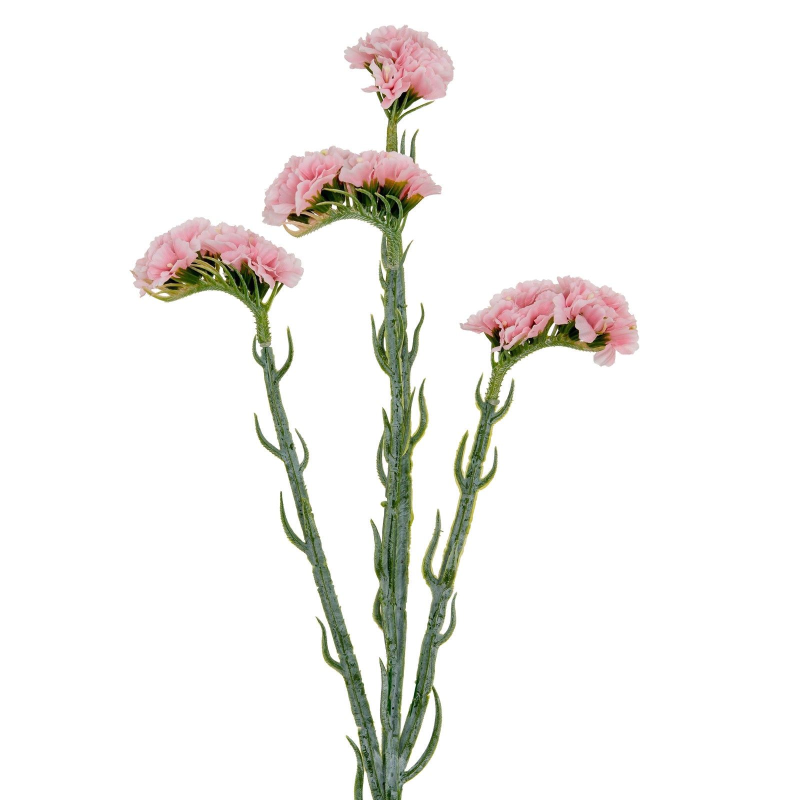 Pink Statis Spray - Single Stem Flowers from the Quanta Home collection.