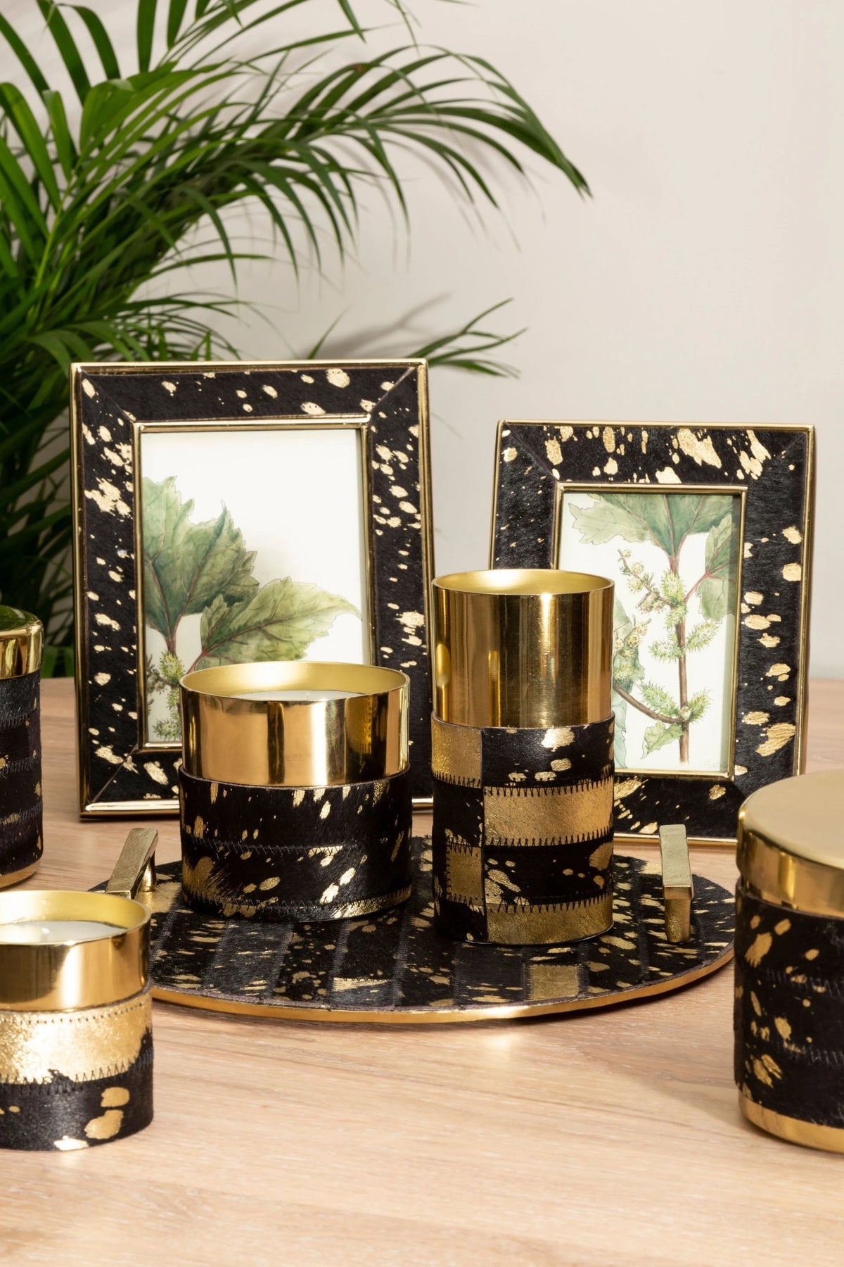 Premier Housewares product image