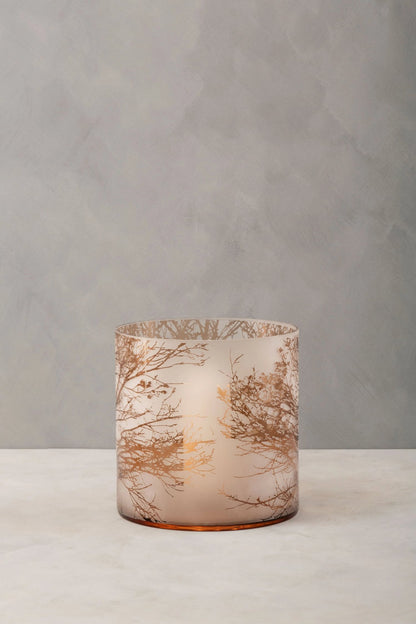 Premier Housewares product image