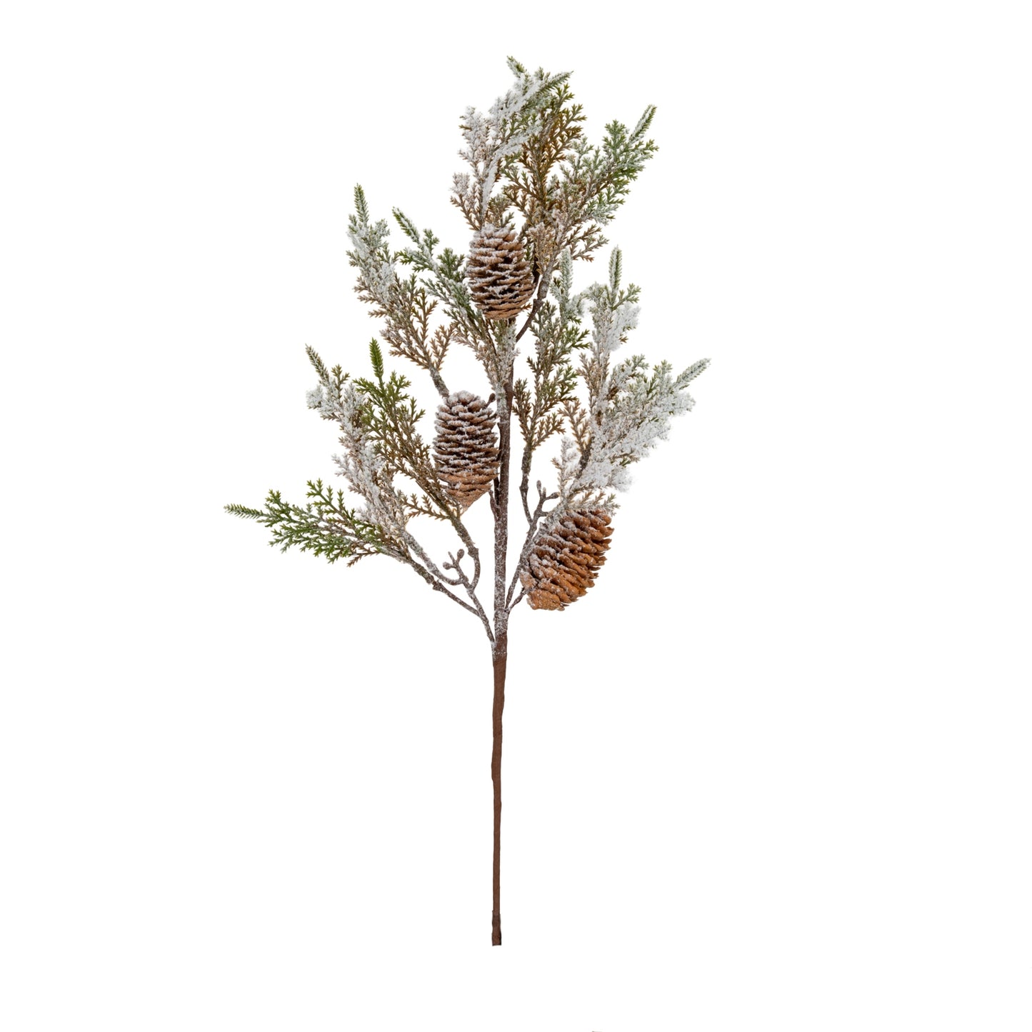 Large Frosted Cypress Fir Branch Spray With Pinecones - 0.0720