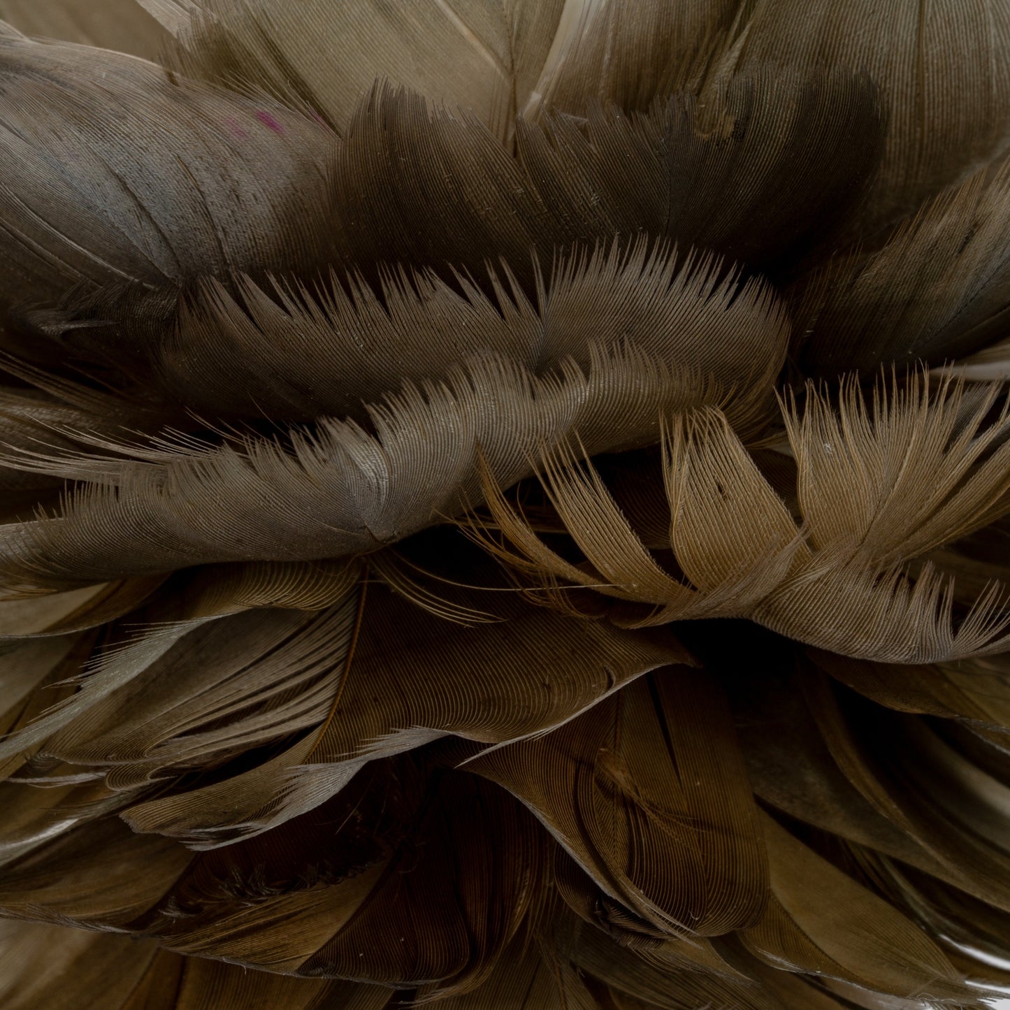 Medium Fawn Feather Ball Decoration - 0.0050