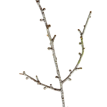 Snowy Winter Woodland Branch - 0.1300