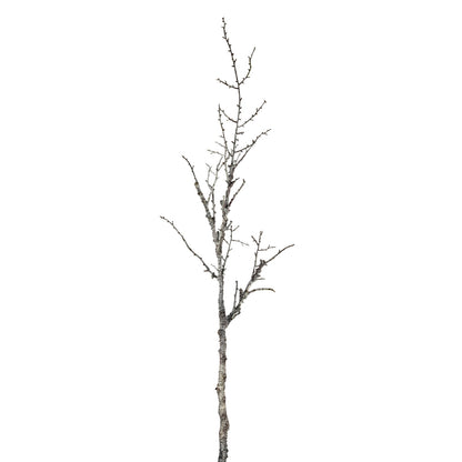 Snowy Winter Woodland Branch - 0.1300