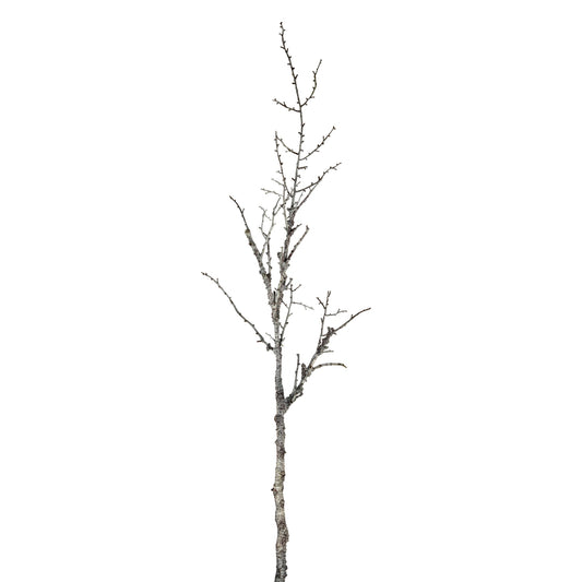 Snowy Winter Woodland Branch - 0.1300