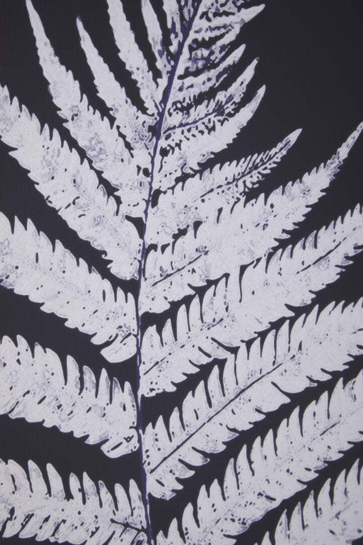 Foundation Set Of Two Leaf Print Wall Art