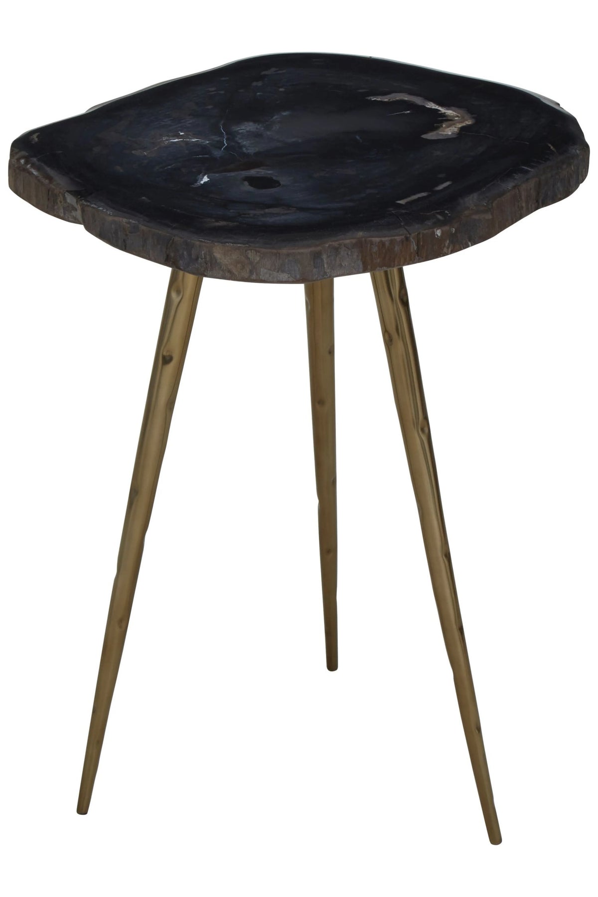Artifact Petrified Wood Top and Brass Finish Legs Side Table