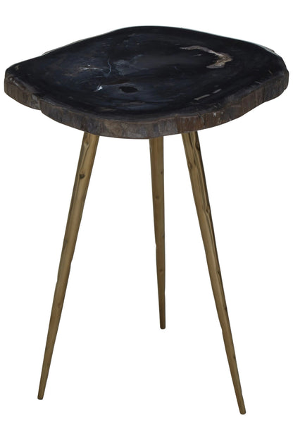 Artifact Petrified Wood Top and Brass Finish Legs Side Table