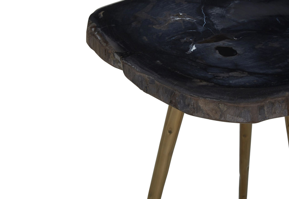 Artifact Petrified Wood Top and Brass Finish Legs Side Table