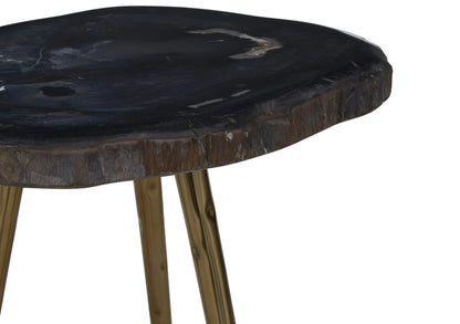 Artifact Petrified Wood Top and Brass Finish Legs Side Table