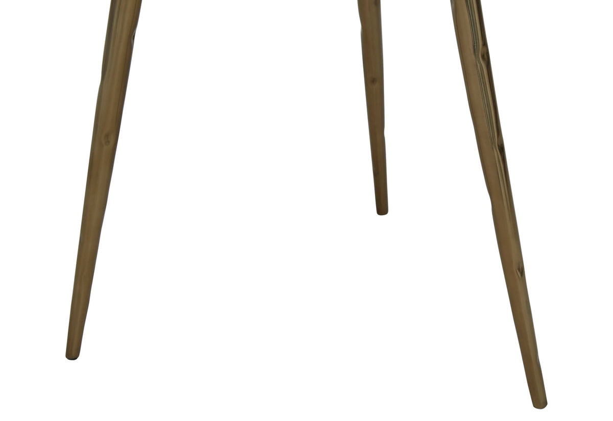 Artifact Petrified Wood Top and Brass Finish Legs Side Table