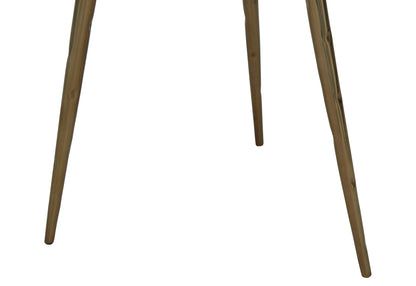 Artifact Petrified Wood Top and Brass Finish Legs Side Table