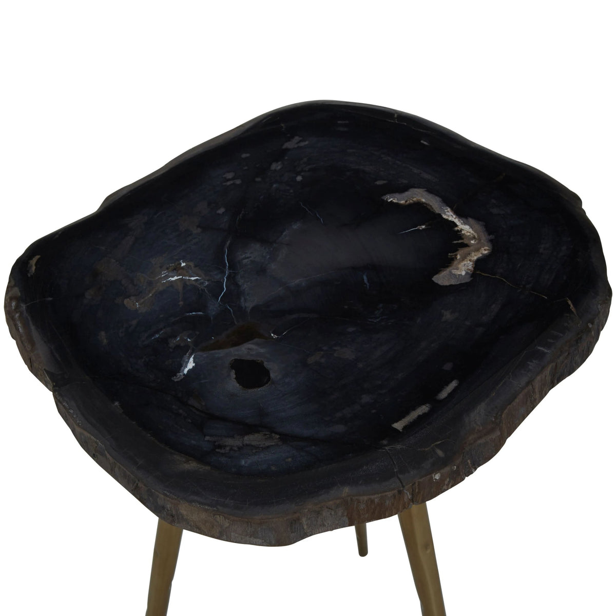 Artifact Petrified Wood Top and Brass Finish Legs Side Table