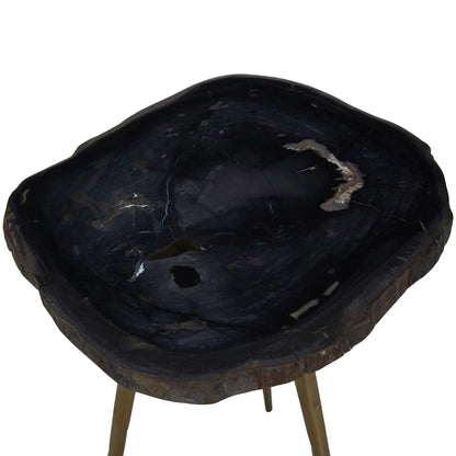 Artifact Petrified Wood Top and Brass Finish Legs Side Table