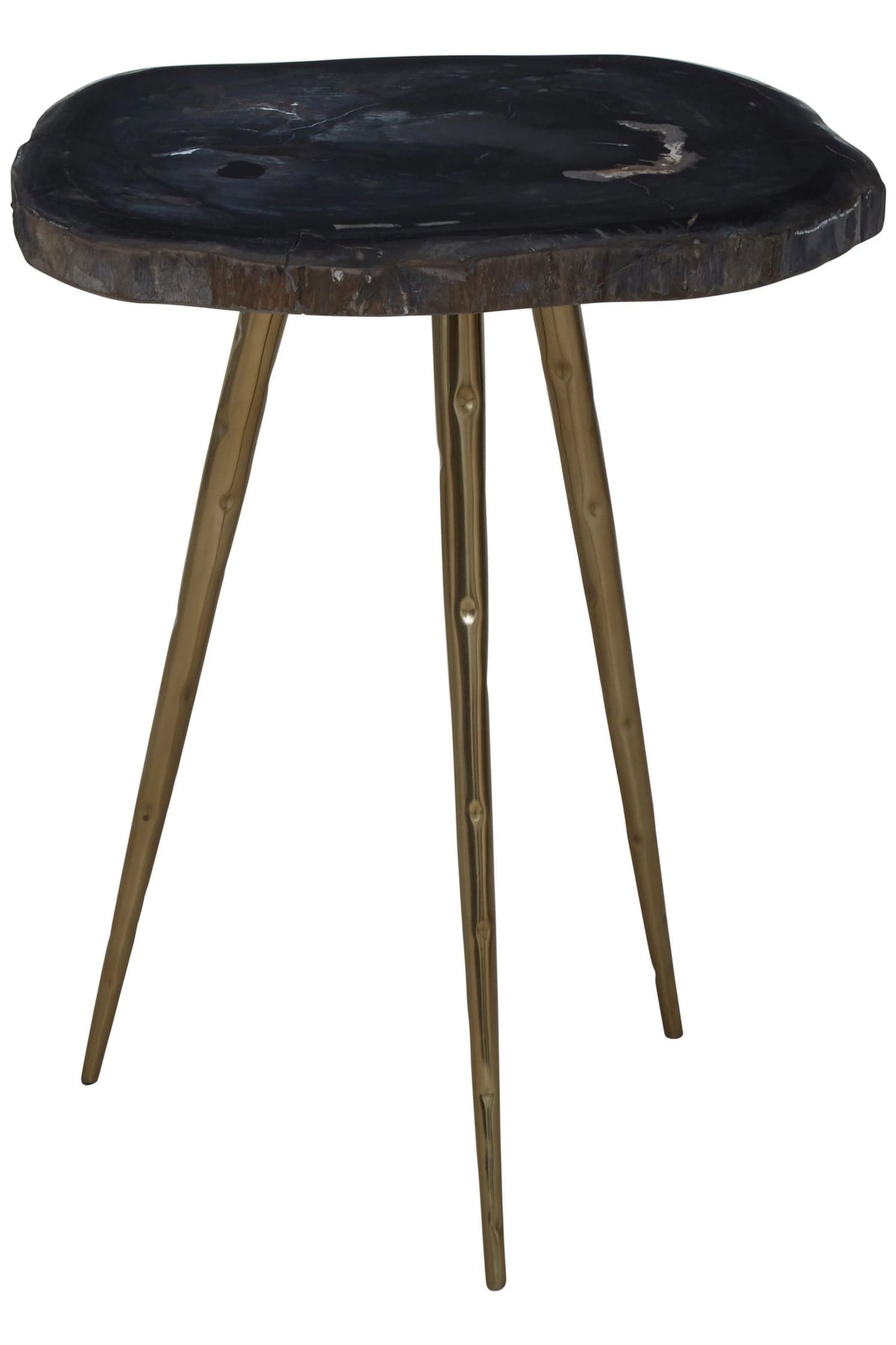 Artifact Petrified Wood Top and Brass Finish Legs Side Table