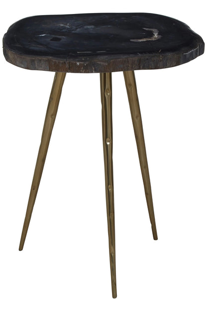 Artifact Petrified Wood Top and Brass Finish Legs Side Table