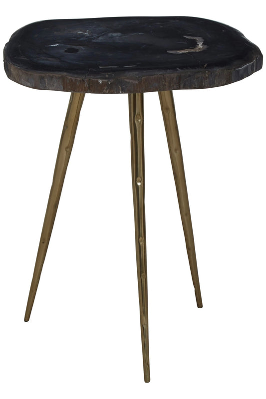 Artifact Petrified Wood Top and Brass Finish Legs Side Table