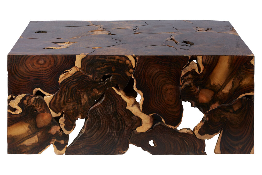 Timor Sonokeling Root Coffee Table