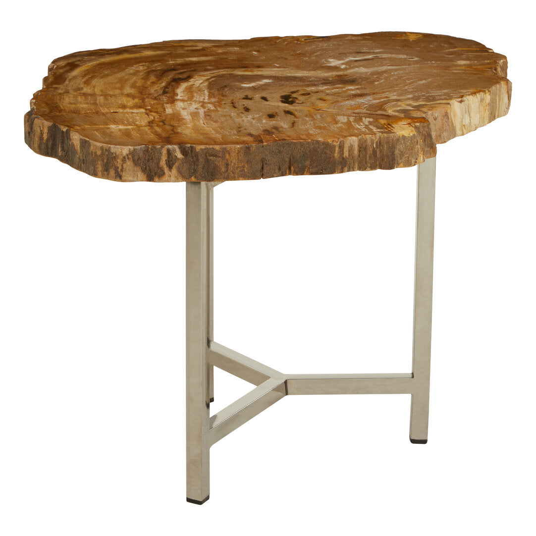 Artifact Small Petrified Wood Side Table