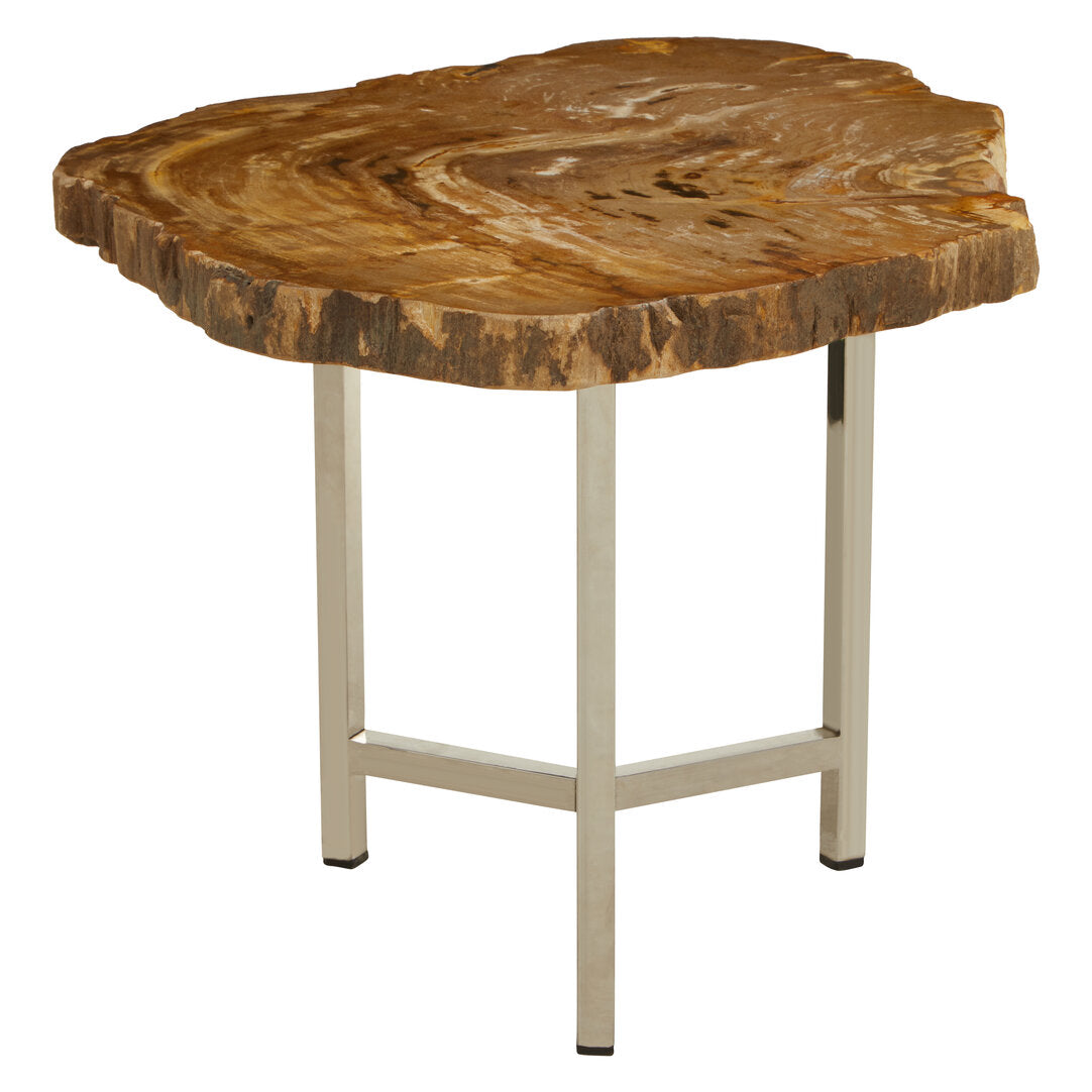 Artifact Small Petrified Wood Side Table