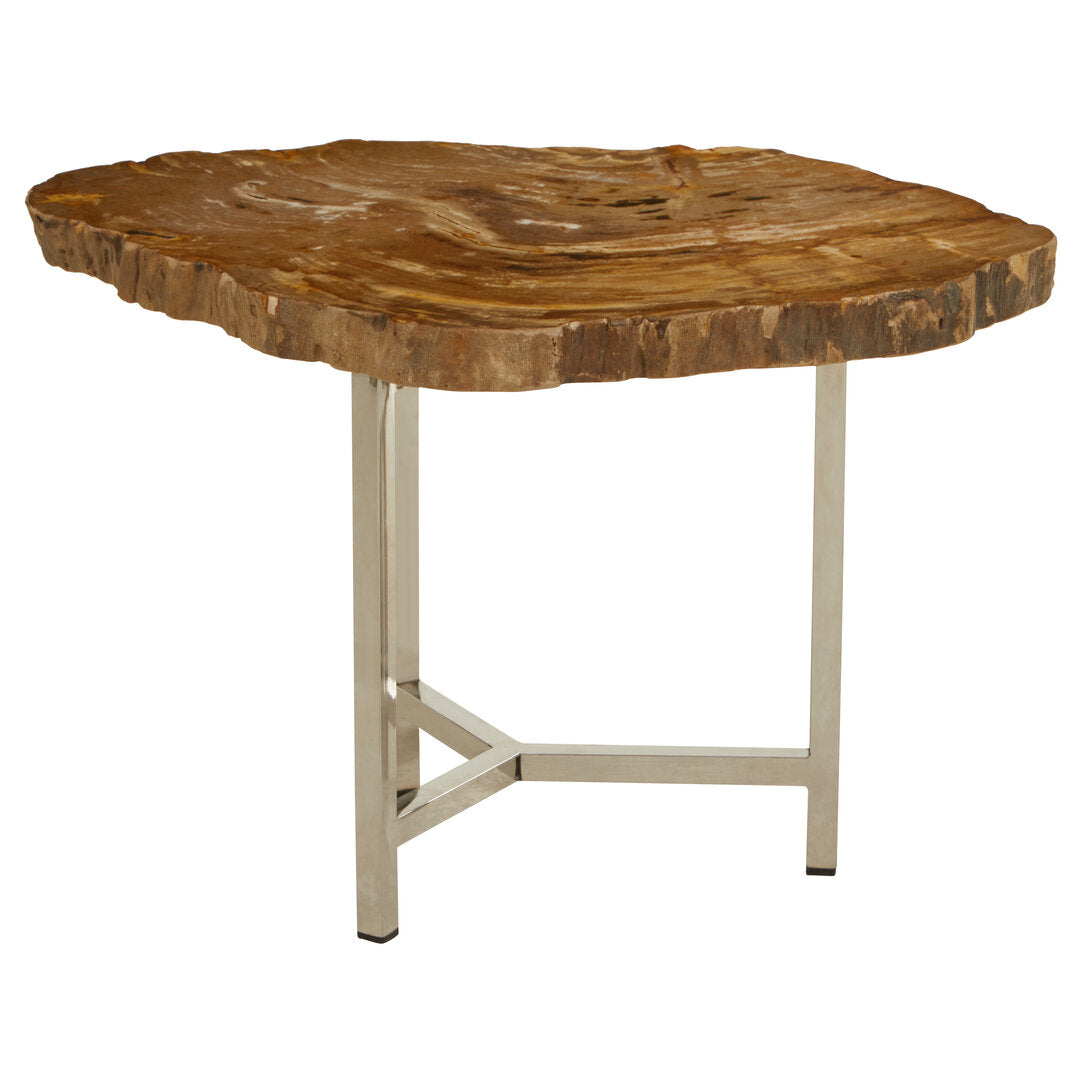Artifact Small Petrified Wood Side Table