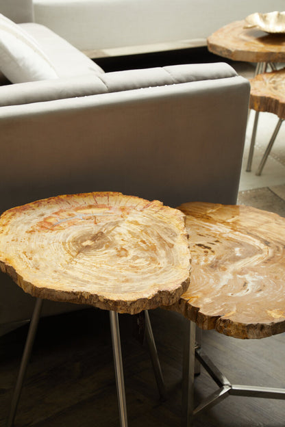Artifact Small Petrified Wood Side Table