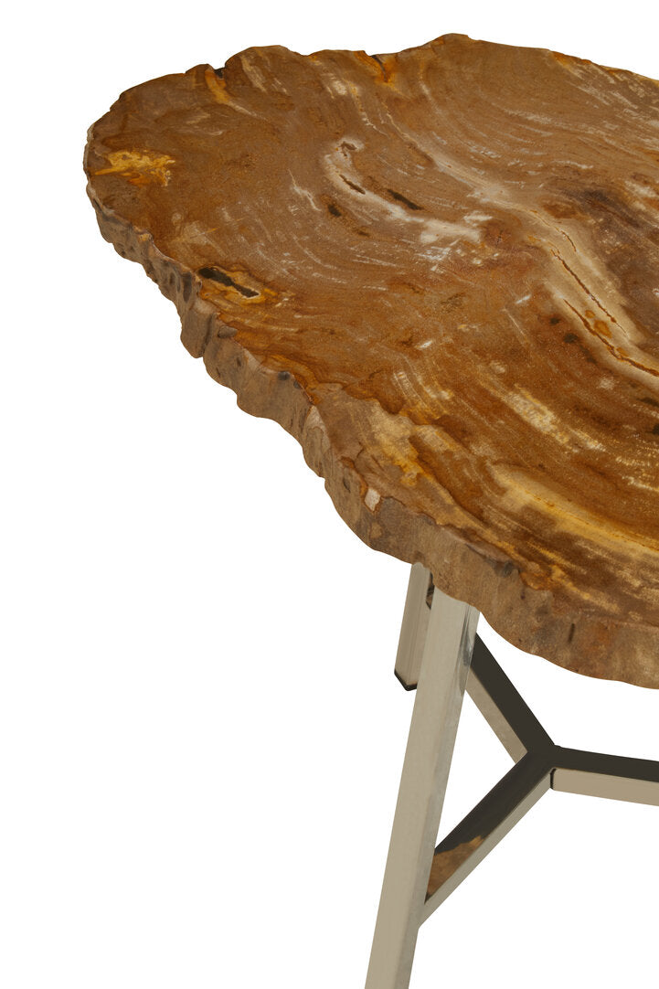 Artifact Small Petrified Wood Side Table