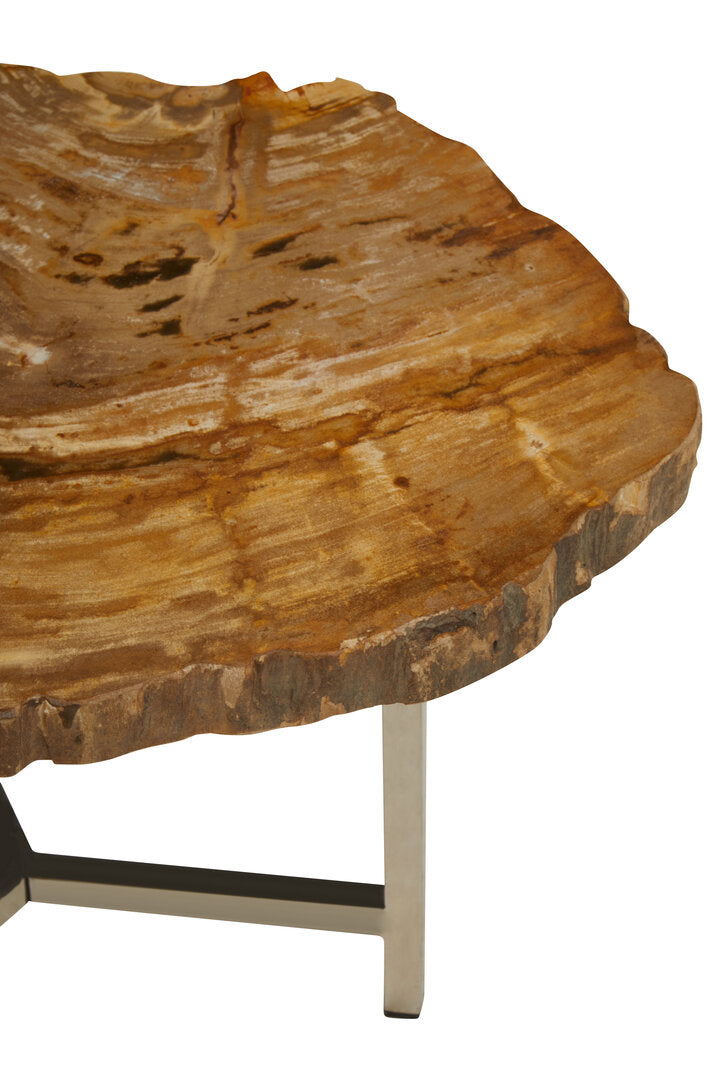 Artifact Small Petrified Wood Side Table