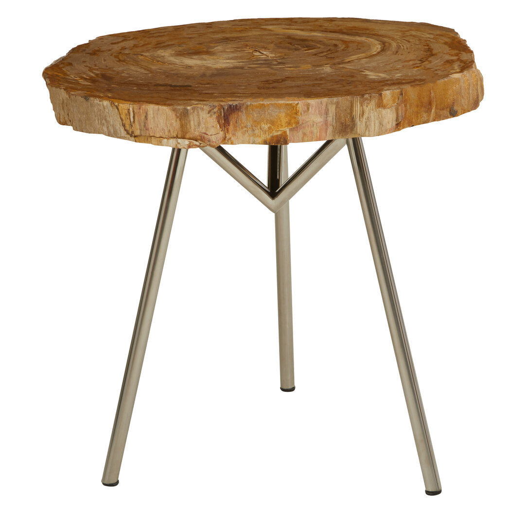 Artifact Medium Petrified Wood Side Table