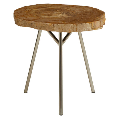 Artifact Medium Petrified Wood Side Table