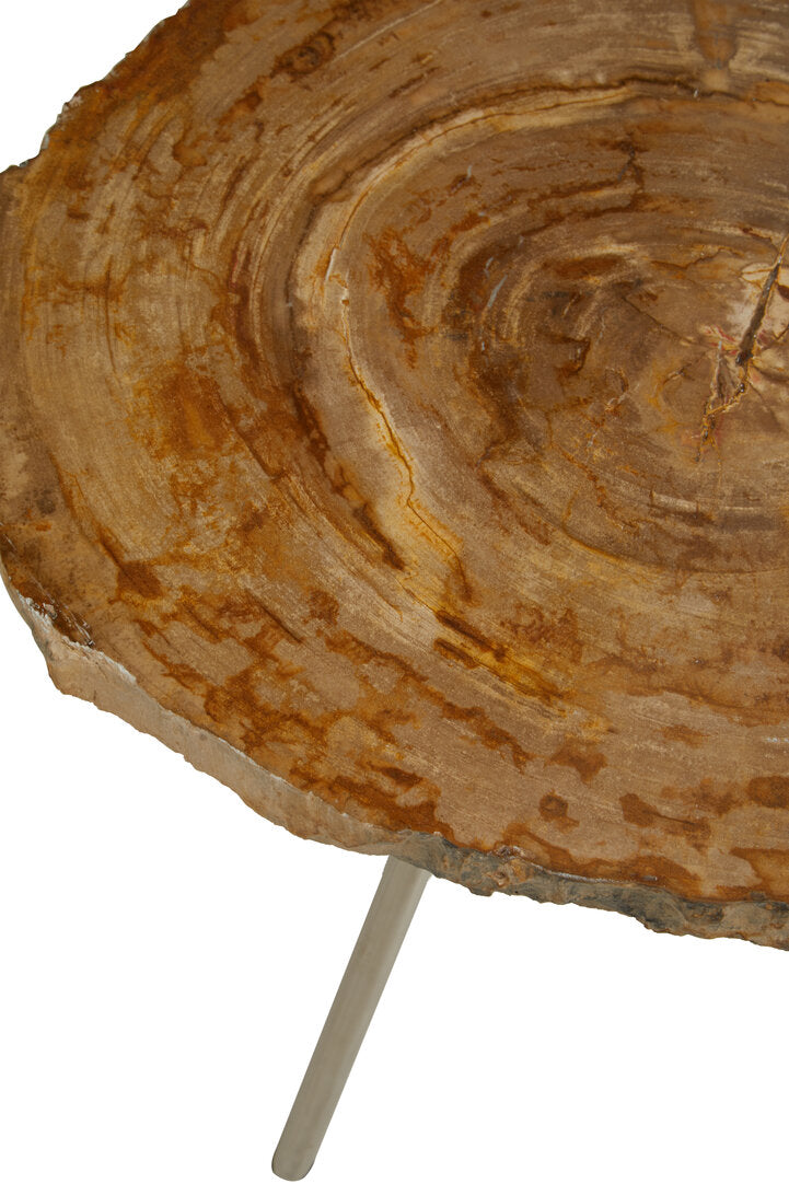 Artifact Medium Petrified Wood Side Table