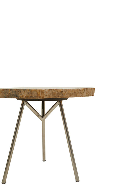 Artifact Medium Petrified Wood Side Table