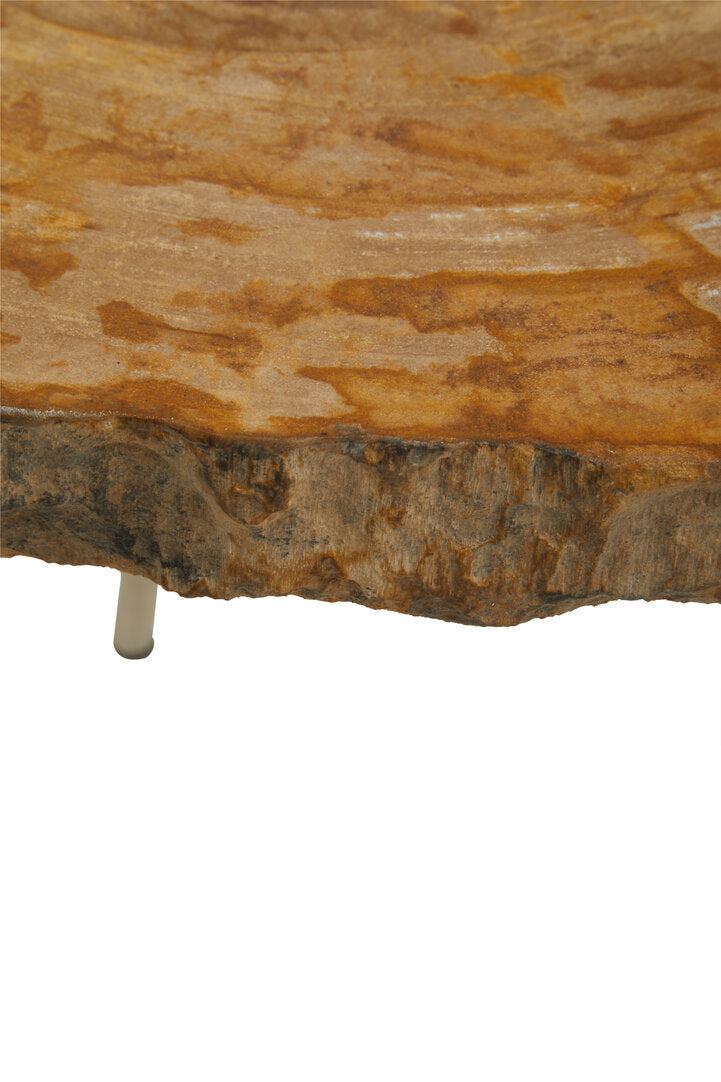 Artifact Medium Petrified Wood Side Table