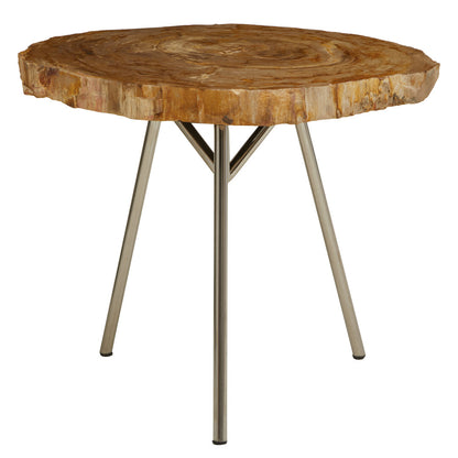 Artifact Medium Petrified Wood Side Table