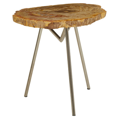 Artifact Large Petrified Wood Side Table