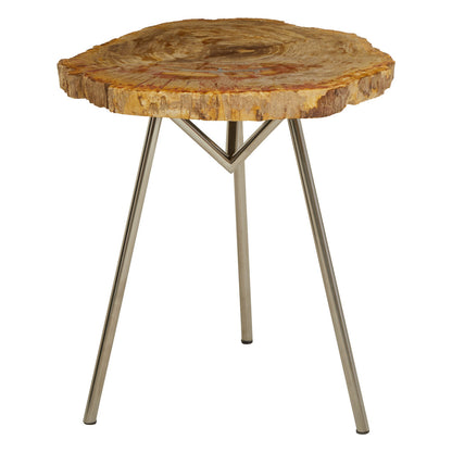 Artifact Large Petrified Wood Side Table