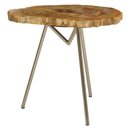 Artifact Large Petrified Wood Side Table