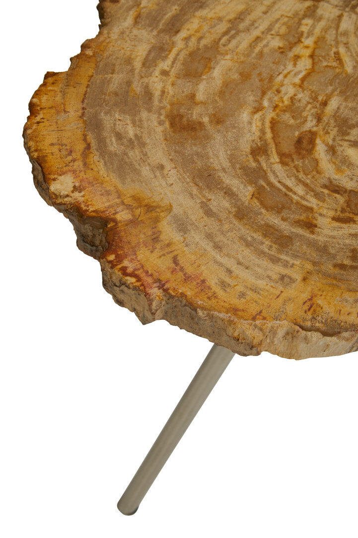 Artifact Large Petrified Wood Side Table