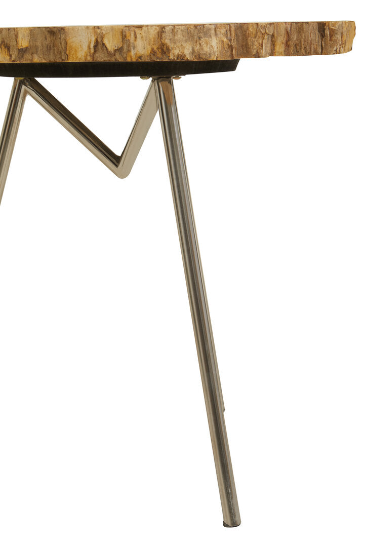 Artifact Large Petrified Wood Side Table