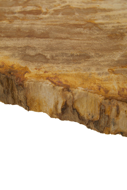 Artifact Large Petrified Wood Side Table