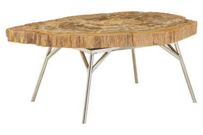 Artifact Natural Petrified Wood Coffee Table