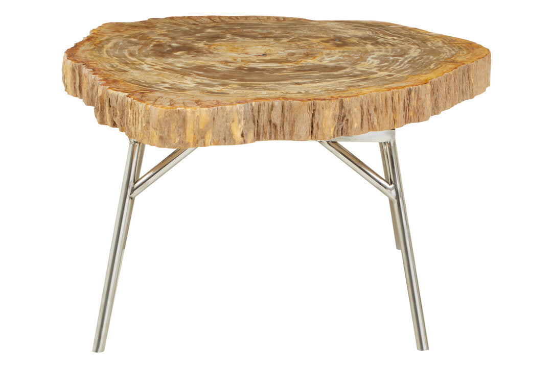 Artifact Natural Petrified Wood Coffee Table