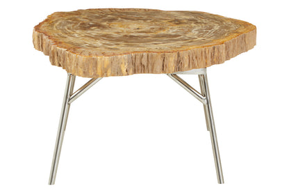 Artifact Natural Petrified Wood Coffee Table