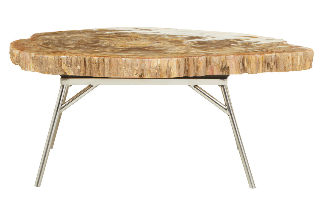 Artifact Natural Petrified Wood Coffee Table