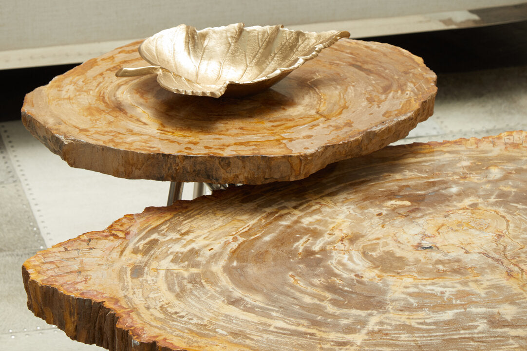 Artifact Natural Petrified Wood Coffee Table