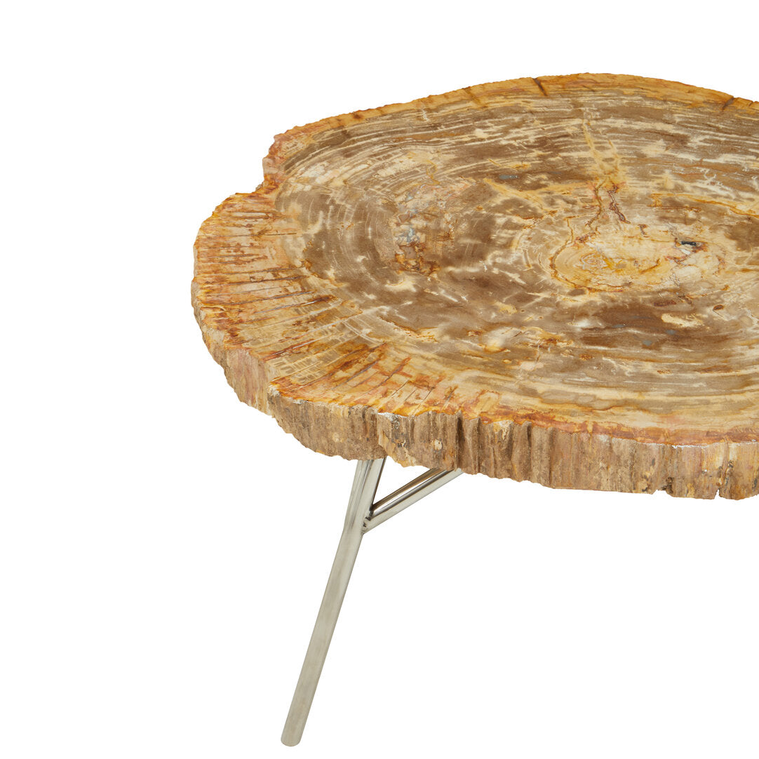 Artifact Natural Petrified Wood Coffee Table