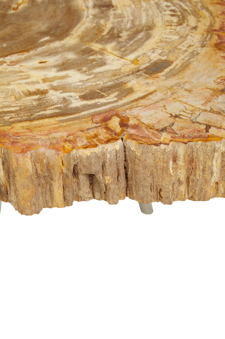 Artifact Natural Petrified Wood Coffee Table
