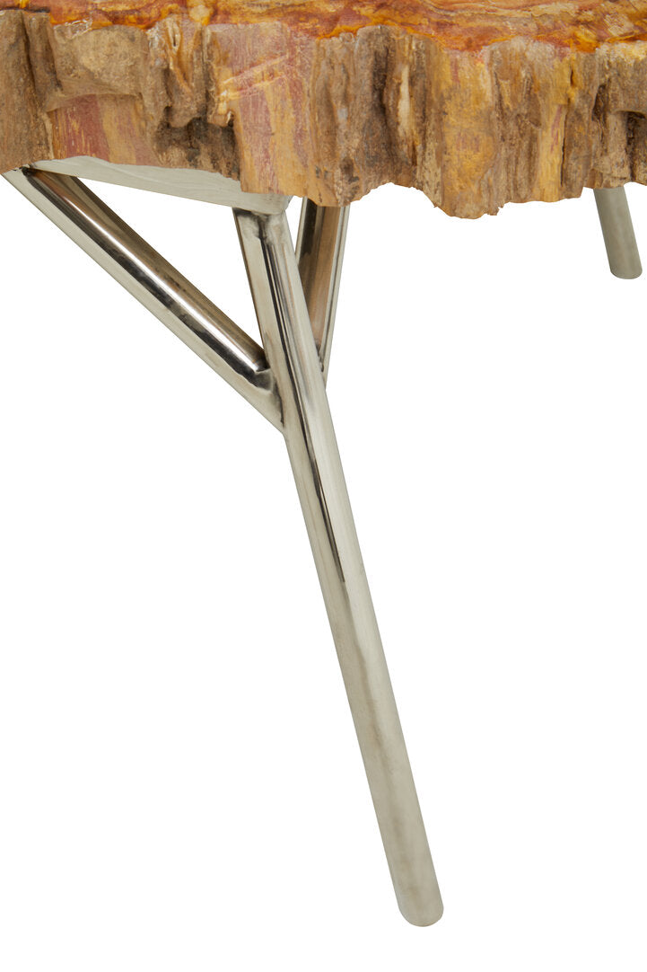Artifact Natural Petrified Wood Coffee Table